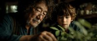 Grandfather and grandson examining plant together indoors, intergenerational bonding through gardening and nature education at home.