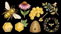 Honey bee with pink coneflower, honeycomb, beehive, wildflower wreath, and botanical elements isolated on transparent background. Ready for t-shirt design, clipart, stickers, sublimation, and print-on-demand products.