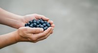 Fresh blueberries held in cupped hands against neutral background. Suitable for food, nutrition, health, organic produce, and wellness marketing materials.