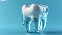 Transparent tooth model with internal root structure visible against blue background, isolated for dental education, healthcare presentations, and orthodontic design materials.