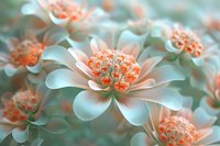 Delicate succulent flowers with soft mint green petals and vibrant coral orange centers in dreamy macro photography.