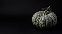 Textured green and white striped gourd isolated on black background, suitable for autumn harvest designs, fall decorative projects, and seasonal marketing materials.