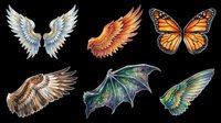 Isolated angel wings, demon wings, monarch butterfly, bat wings, and fairy wings on transparent background. Ready for t-shirt design, clipart, stickers, sublimation, and print-on-demand projects.