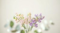Delicate purple and white sweet pea flowers in glass vase create soft romantic spring arrangement for home decor and floral design projects.