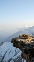 Snow leopard resting on rocky mountain outcrop at high altitude with snow-covered peaks and misty valleys in background. Wildlife photography for nature and conservation content.