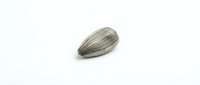 Sunflower seed isolated on white background, ready for design use in food packaging, culinary graphics, nutrition content, and agricultural illustrations.