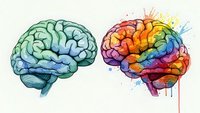 Two human brains showing contrast between logical analytical thinking and creative artistic expression with colorful watercolor splashes on white background.