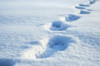 Trail of footprints in fresh powder snow creating a path across pristine white winter landscape with soft blue shadows.