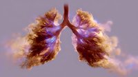 Artistic visualization of human lungs created with colorful smoke effect in purple and golden hues against soft background, showing detailed bronchial structure.