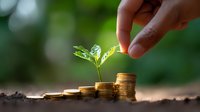 Growing plant on stacked golden coins with hand nurturing seedling, representing sustainable financial growth, investment and wealth building concept.