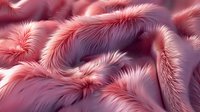 Luxurious pink faux fur texture with soft waves and delicate shading creates elegant background pattern for fashion, textile and interior design projects.
