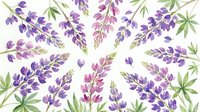 Watercolor lavender flowers seamless pattern with purple blooms and green leaves on white background. Floral botanical design for textiles and decor.