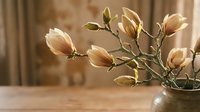 Elegant magnolia branches with cream buds in glass vase on wooden table against warm blurred background for spring home decor and botanical arrangements.