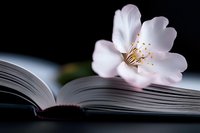 Delicate white flower with golden stamens resting on open book pages, symbolizing knowledge, growth, and nature's beauty. Perfect for education, literature, and inspirational designs.