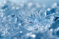 Delicate snowflake crystals with intricate patterns captured in macro photography against blurred winter bokeh background in soft blue tones showing natural ice formation.