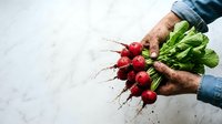 Farmer with tattooed hands holding fresh red radishes with green stems and soil on white marble surface for organic produce marketing.