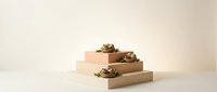 Minimalist wooden display platforms with small potted succulents arranged in geometric composition for modern interior design and product showcase.