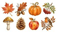Autumn harvest collection with maple leaf, acorns, pumpkin, rowan berries, mushroom, pinecone, apple and robin bird isolated on white background for seasonal design projects.