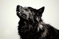 Majestic black wolf portrait in profile against light background, showing detailed fur texture and upward gaze. Artistic monochromatic wildlife photography style.