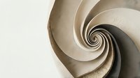 Abstract beige spiral paper sculpture with flowing curves and dimensional layers creating elegant geometric pattern for modern design projects.