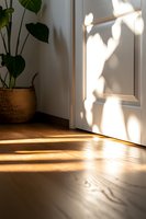 Sunlight streaming through window creates dramatic shadows on white door and wooden floor, with potted monstera plant in woven basket adding natural element.