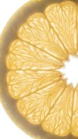 Sliced lemon with translucent segments showing detailed pulp texture and natural citrus structure isolated on white background for culinary and beverage design projects.