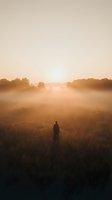 Solitary figure standing in misty field at golden hour sunrise with warm atmospheric fog rolling across rural landscape creating peaceful morning scene.