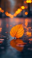 Orange autumn leaf reflected in water with glowing bokeh lights and raindrops creating magical atmosphere. Artistic nature photography for seasonal designs.