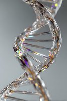 Crystal clear DNA helix structure with rainbow light reflections against gray background, representing genetic science and biotechnology research.