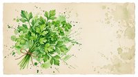Fresh green parsley bunch tied with twine, watercolor painting on aged paper background with paint splashes, herb art for kitchen decor.