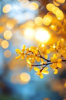 Yellow spring blossoms against blurred blue sky background with golden bokeh lights creating dreamy atmospheric nature scene for seasonal designs and wallpapers.