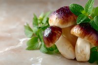 Fresh wild mushrooms with burgundy caps and white stems garnished with vibrant green mint and parsley leaves on light textured background. Food photography.