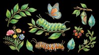 Caterpillar and butterfly lifecycle stages with green leaves, flowers, and botanical elements isolated on transparent background. Ready for t-shirt designs, clipart, stickers, sublimation, and print-on-demand products.