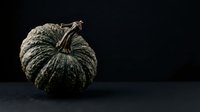 Aged decorative gourd with textured ridged surface and dried stem on dark background, suitable for autumn harvest designs and seasonal marketing materials.
