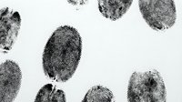 Fingerprints scattered on white background, forensic evidence for criminal investigation, law enforcement, security, identity verification, and biometric authentication applications.