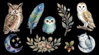 Cute owl clipart set with feather, moon, flowers, and branches, isolated on transparent background. Ready for stickers, t-shirt design, and print on demand.