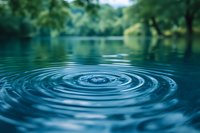 Concentric water ripples spreading across calm lake surface with lush green forest trees reflected in background creating peaceful natural scene.