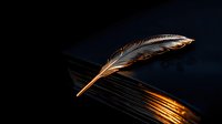 Dramatic lighting illuminates delicate feather quill against dark background, casting golden reflections and shadows. Artistic still life for writing and literature themes.
