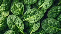 Fresh raw spinach leaves arranged in pattern showing detailed texture and veins on dark background. Natural organic food photography for healthy eating concept.