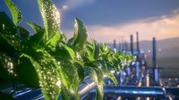 Fresh green plant leaves covered in morning dew drops against industrial background with factory pipes, environmental concept showing nature versus industry contrast.