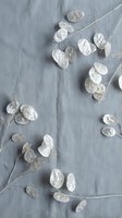 White eucalyptus branches with silver leaves arranged on gray linen fabric background for natural botanical decoration and spa wellness design projects.