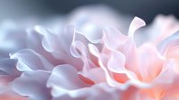 Delicate pink petals create soft waves and curves in extreme macro photography, showing gentle natural textures and dreamy pastel colors for romantic designs and backgrounds.