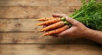 Farmer holding fresh organic carrots with green tops on rustic wooden surface, harvested vegetables for cooking and healthy eating.