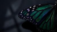 Stunning monarch butterfly wing with vibrant emerald green and black patterns against dark moody background for nature and wildlife designs.