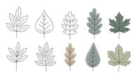 Set of minimalist leaf icons in outline and filled styles on white background. Modern botanical elements for eco-friendly branding and nature designs.