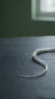 Single strand of white hair curved on dark gray surface with blurred green wall and window in background, suitable for healthcare, aging, loss, or wellness concepts.