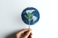 Hand holding green sprout against drawn Earth planet on white background. Environmental conservation and sustainability concept for eco-friendly business presentations.