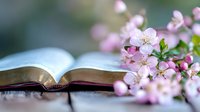 Open book with delicate pink cherry blossoms laying across pages against soft blurred background, creating peaceful spring reading atmosphere.