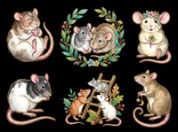 Cute mice and rats characters isolated on transparent background, ready for t-shirt designs, stickers, clipart, print-on-demand products and sublimation projects.