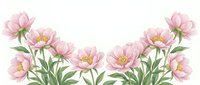 Pink peony flowers arranged in a decorative border frame on white background, botanical watercolor style for cards, invitations, and prints.